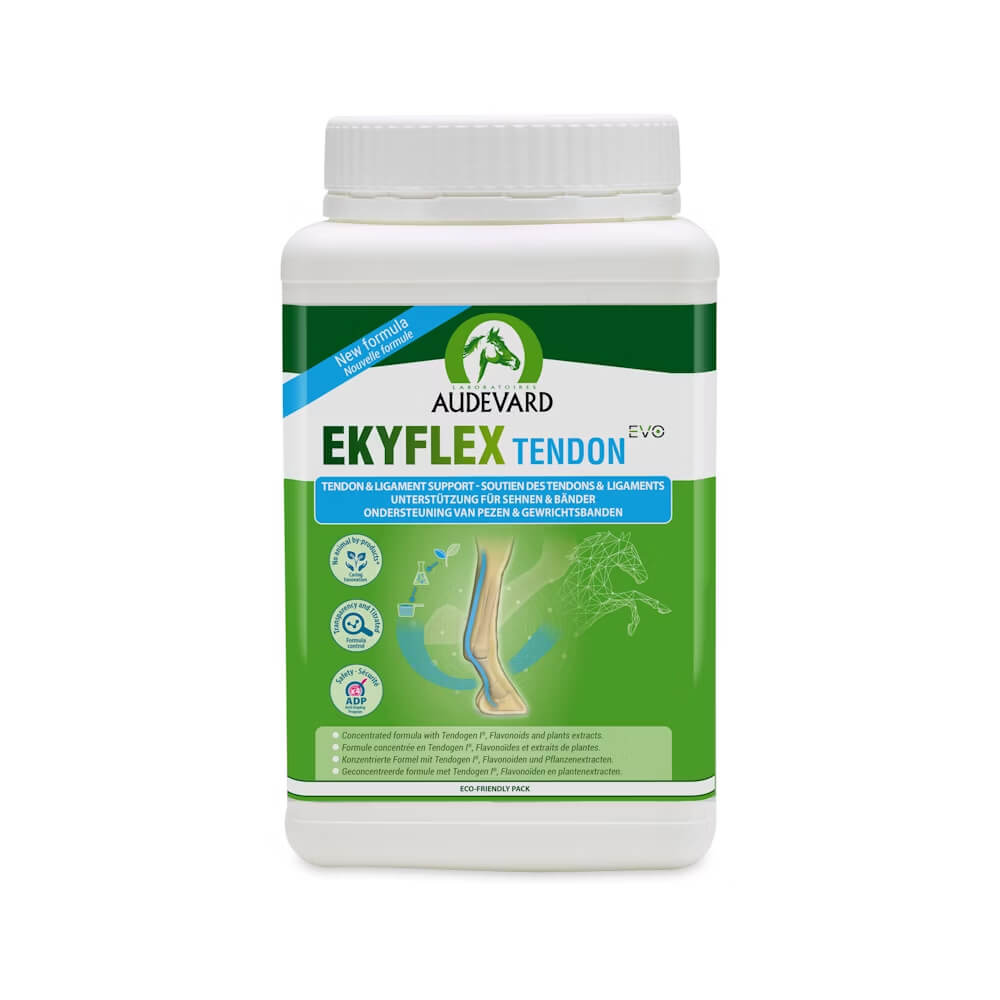 Ekyflex tendon evo 900g