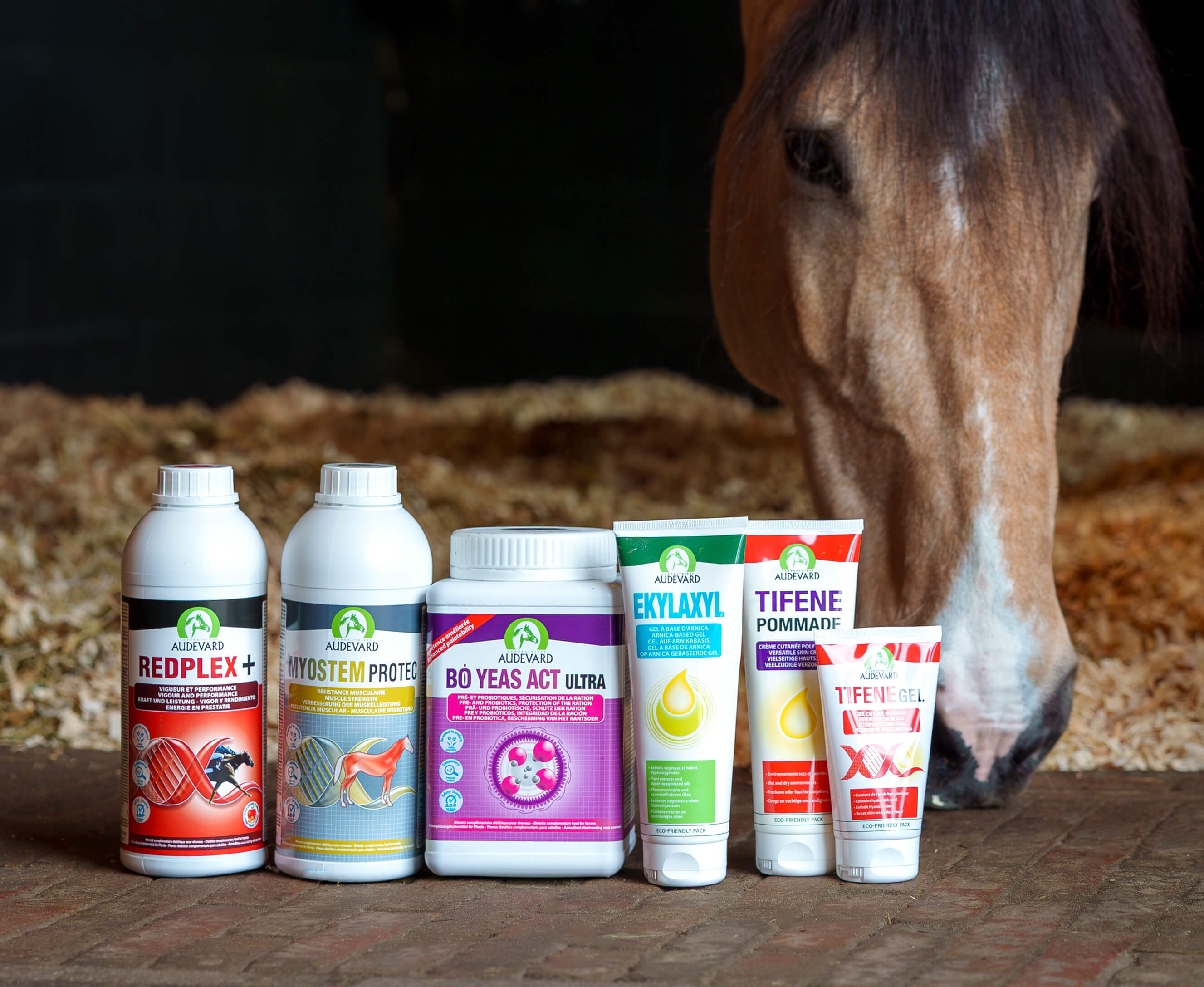 Horse supplements