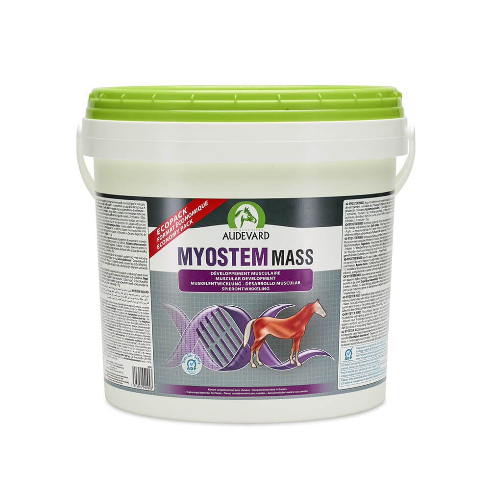 Myostem Mass 6000g